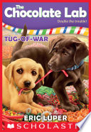 The Chocolate Lab: Tug-of-War cover