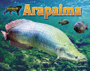 Arapaima cover