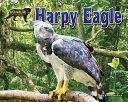 Harpy Eagle cover