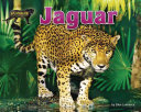 Jaguar cover