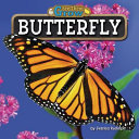 Butterfly cover
