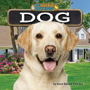Dog cover