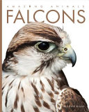 Falcons cover