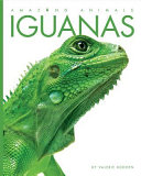 Iguanas cover