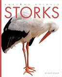 Storks cover