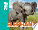 Elephant cover