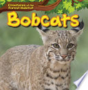 Bobcats cover