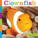 Clownfish cover