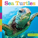 Sea Turtles cover