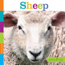 Sheep (Seedlings) cover