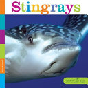 Stingrays cover