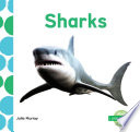 Sharks cover