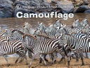 Camouflage cover