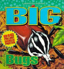 Big Bugs cover