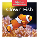 Clown Fish cover