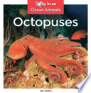 Octopuses cover