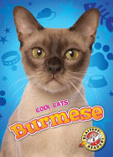 Burmese cover