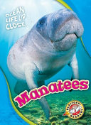 Manatees cover
