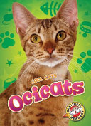 Ocicats cover