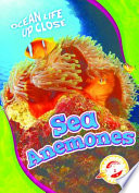 Sea Anemones cover
