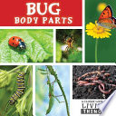 Bug Body Parts cover