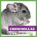 Chinchillas cover