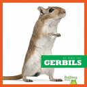 Gerbils cover