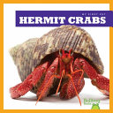 Hermit Crabs cover