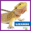 Lizards cover