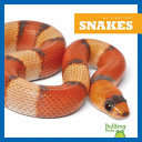Snakes cover
