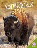 American Bison cover