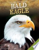 Bald Eagle cover