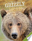 Grizzly Bear cover