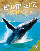 Humpback Whale cover