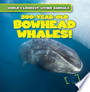 200-Year-Old Bowhead Whales! cover
