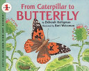 From Caterpillar to Butterfly cover