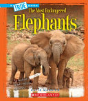 Elephants cover