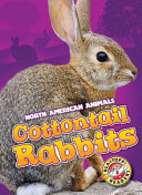 Cottontail Rabbits cover