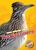 Roadrunners cover