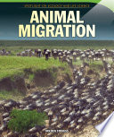 Animal Migration cover