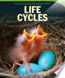 Life Cycles cover