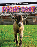 Pygmy Goat cover