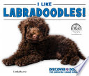 I Like Labradoodles! cover