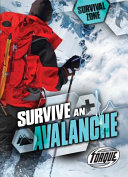Survive an Avalanche cover