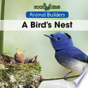 A Bird's Nest cover