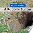 A Rabbit's Burrow cover