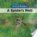 A Spider's Web cover