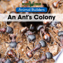 An Ant's Colony cover
