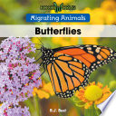 Butterflies cover