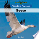 Geese cover